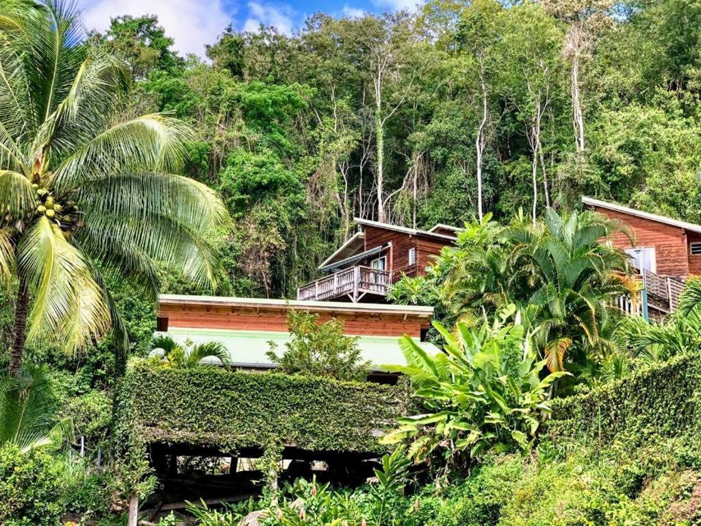 Le Bougainvillier Blanc Hotel Pointe-Noire Exterior foto